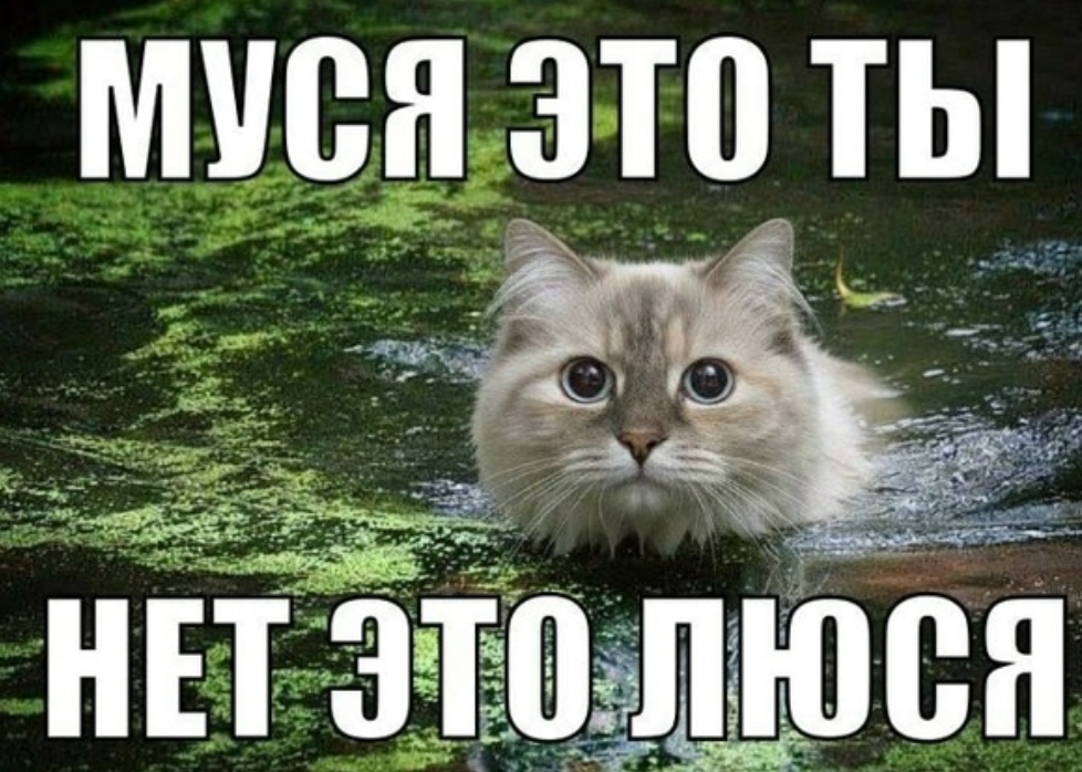 Люся